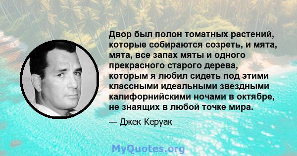 Двор был полон томатных растений, которые собираются созреть, и мята, мята, все запах мяты и одного прекрасного старого дерева, которым я любил сидеть под этими классными идеальными звездными калифорнийскими ночами в