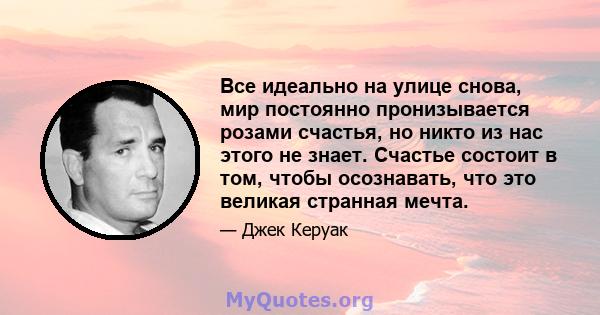 Все идеально на улице снова, мир постоянно пронизывается розами счастья, но никто из нас этого не знает. Счастье состоит в том, чтобы осознавать, что это великая странная мечта.