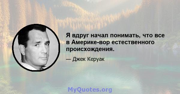 Я вдруг начал понимать, что все в Америке-вор естественного происхождения.