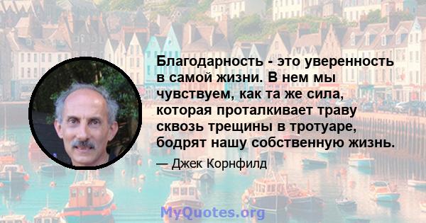 Благодарность - это уверенность в самой жизни. В нем мы чувствуем, как та же сила, которая проталкивает траву сквозь трещины в тротуаре, бодрят нашу собственную жизнь.