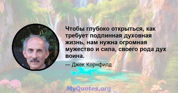 Чтобы глубоко открыться, как требует подлинная духовная жизнь, нам нужна огромная мужество и сила, своего рода дух воина.