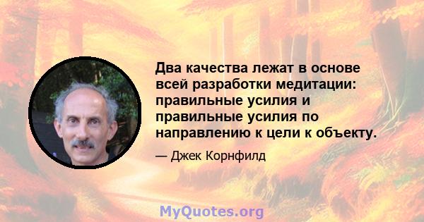 Два качества лежат в основе всей разработки медитации: правильные усилия и правильные усилия по направлению к цели к объекту.