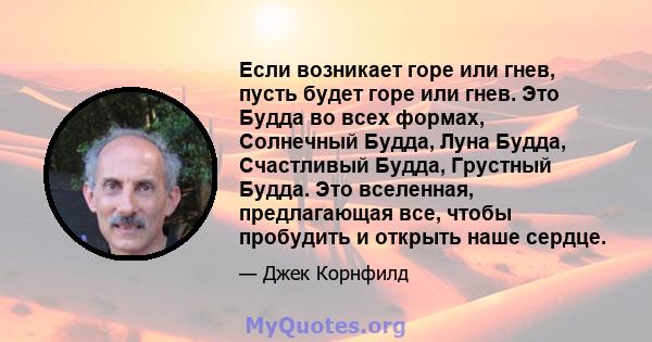 Если возникает горе или гнев, пусть будет горе или гнев. Это Будда во всех формах, Солнечный Будда, Луна Будда, Счастливый Будда, Грустный Будда. Это вселенная, предлагающая все, чтобы пробудить и открыть наше сердце.