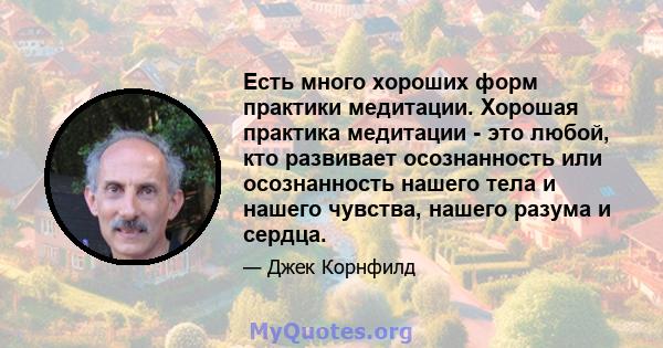 Есть много хороших форм практики медитации. Хорошая практика медитации - это любой, кто развивает осознанность или осознанность нашего тела и нашего чувства, нашего разума и сердца.