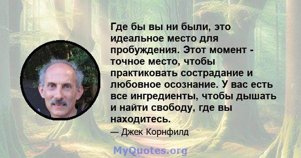 Где бы вы ни были, это идеальное место для пробуждения. Этот момент - точное место, чтобы практиковать сострадание и любовное осознание. У вас есть все ингредиенты, чтобы дышать и найти свободу, где вы находитесь.