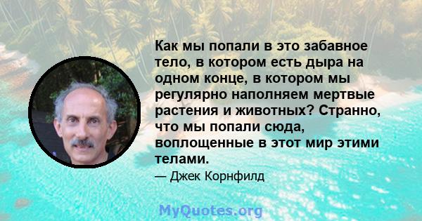 Как мы попали в это забавное тело, в котором есть дыра на одном конце, в котором мы регулярно наполняем мертвые растения и животных? Странно, что мы попали сюда, воплощенные в этот мир этими телами.