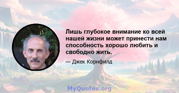 Лишь глубокое внимание ко всей нашей жизни может принести нам способность хорошо любить и свободно жить.