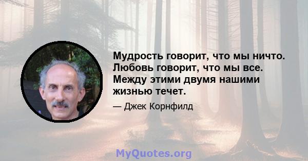 Мудрость говорит, что мы ничто. Любовь говорит, что мы все. Между этими двумя нашими жизнью течет.