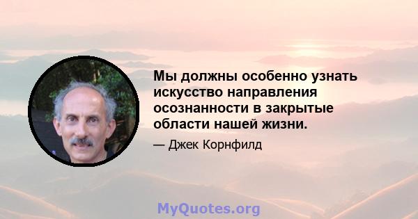 Мы должны особенно узнать искусство направления осознанности в закрытые области нашей жизни.