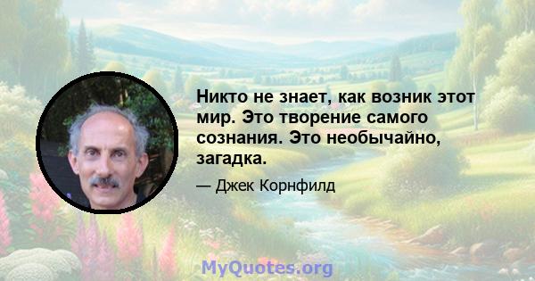 Никто не знает, как возник этот мир. Это творение самого сознания. Это необычайно, загадка.