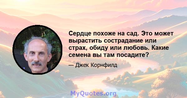 Сердце похоже на сад. Это может вырастить сострадание или страх, обиду или любовь. Какие семена вы там посадите?