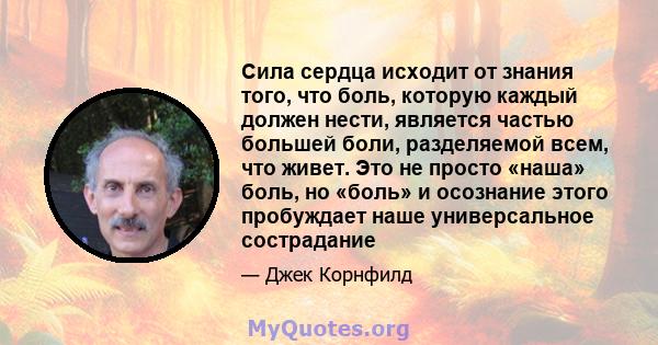 Сила сердца исходит от знания того, что боль, которую каждый должен нести, является частью большей боли, разделяемой всем, что живет. Это не просто «наша» боль, но «боль» и осознание этого пробуждает наше универсальное