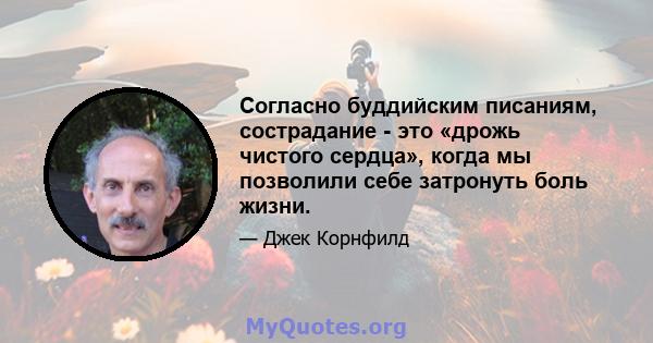 Согласно буддийским писаниям, сострадание - это «дрожь чистого сердца», когда мы позволили себе затронуть боль жизни.