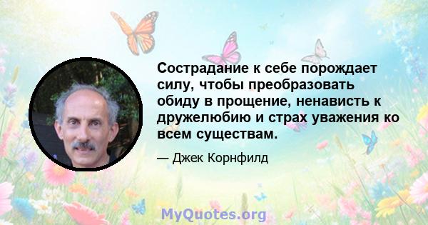 Сострадание к себе порождает силу, чтобы преобразовать обиду в прощение, ненависть к дружелюбию и страх уважения ко всем существам.