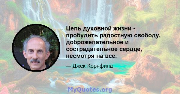 Цель духовной жизни - пробудить радостную свободу, доброжелательное и сострадательное сердце, несмотря на все.