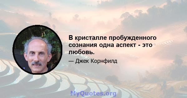 В кристалле пробужденного сознания одна аспект - это любовь.