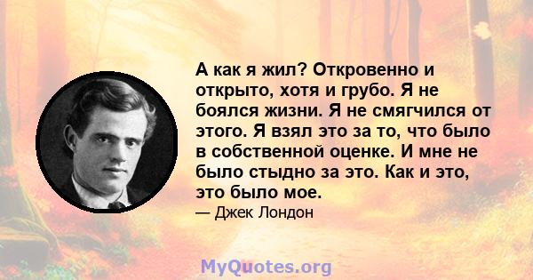 А как я жил? Откровенно и открыто, хотя и грубо. Я не боялся жизни. Я не смягчился от этого. Я взял это за то, что было в собственной оценке. И мне не было стыдно за это. Как и это, это было мое.