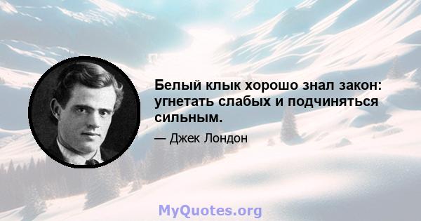 Белый клык хорошо знал закон: угнетать слабых и подчиняться сильным.