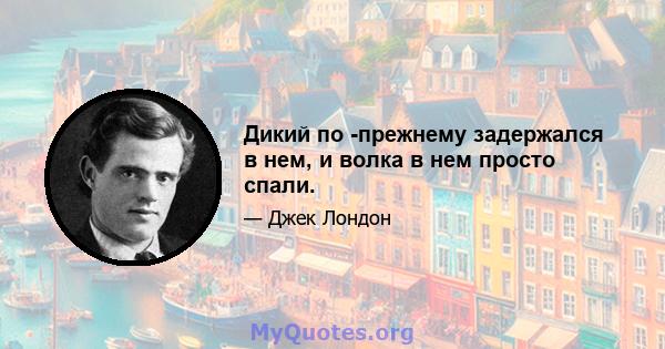 Дикий по -прежнему задержался в нем, и волка в нем просто спали.