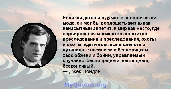 Если бы детеныш думал в человеческой моде, он мог бы воплощать жизнь как ненасытный аппетит, и мир как место, где варьировался множество аппетитов, преследования и преследования, охоты и охоты, еды и еды, все в слепоте