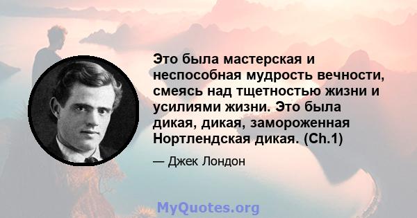 Это была мастерская и неспособная мудрость вечности, смеясь над тщетностью жизни и усилиями жизни. Это была дикая, дикая, замороженная Нортлендская дикая. (Ch.1)