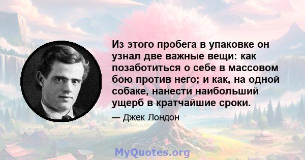 Из этого пробега в упаковке он узнал две важные вещи: как позаботиться о себе в массовом бою против него; и как, на одной собаке, нанести наибольший ущерб в кратчайшие сроки.