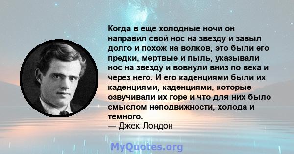 Когда в еще холодные ночи он направил свой нос на звезду и завыл долго и похож на волков, это были его предки, мертвые и пыль, указывали нос на звезду и вовнули вниз по века и через него. И его каденциями были их