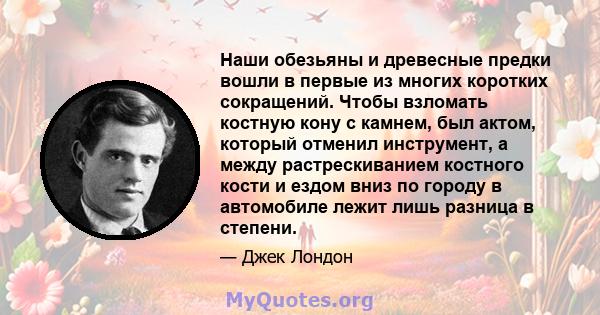 Наши обезьяны и древесные предки вошли в первые из многих коротких сокращений. Чтобы взломать костную кону с камнем, был актом, который отменил инструмент, а между растрескиванием костного кости и ездом вниз по городу в 