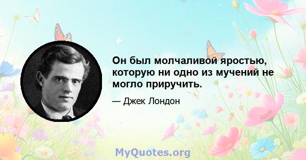 Он был молчаливой яростью, которую ни одно из мучений не могло приручить.