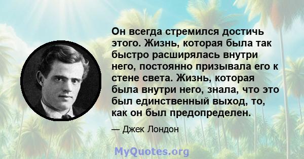 Он всегда стремился достичь этого. Жизнь, которая была так быстро расширялась внутри него, постоянно призывала его к стене света. Жизнь, которая была внутри него, знала, что это был единственный выход, то, как он был