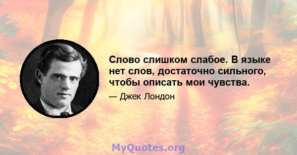 Слово слишком слабое. В языке нет слов, достаточно сильного, чтобы описать мои чувства.