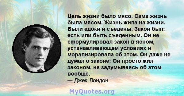 Цель жизни было мясо. Сама жизнь была мясом. Жизнь жила на жизни. Были едоки и съедены. Закон был: есть или быть съеденным. Он не сформулировал закон в ясном, устанавливающем условиях и морализировала об этом. Он даже