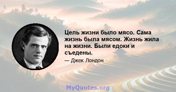 Цель жизни было мясо. Сама жизнь была мясом. Жизнь жила на жизни. Были едоки и съедены.