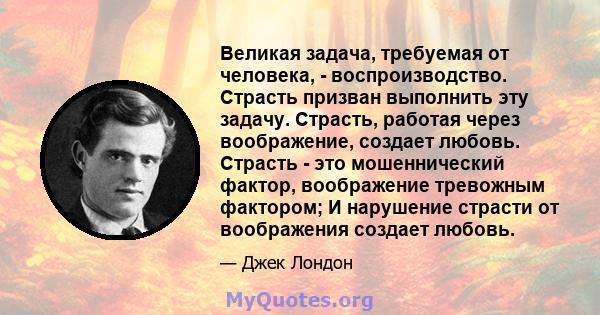 Великая задача, требуемая от человека, - воспроизводство. Страсть призван выполнить эту задачу. Страсть, работая через воображение, создает любовь. Страсть - это мошеннический фактор, воображение тревожным фактором; И