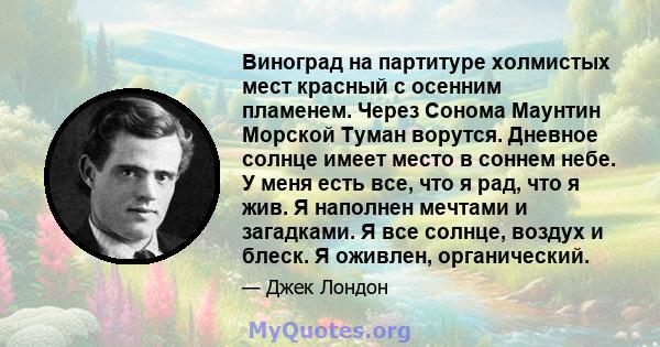 Виноград на партитуре холмистых мест красный с осенним пламенем. Через Сонома Маунтин Морской Туман ворутся. Дневное солнце имеет место в соннем небе. У меня есть все, что я рад, что я жив. Я наполнен мечтами и