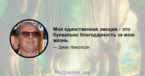 Моя единственная эмоция - это буквально благодарность за мою жизнь.