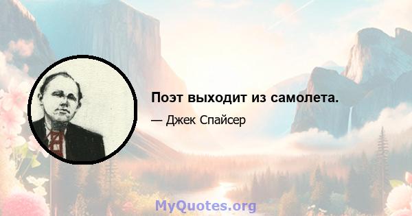 Поэт выходит из самолета.