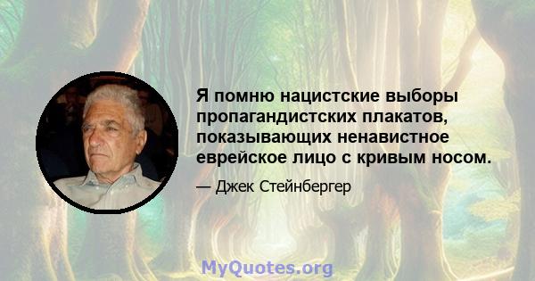 Я помню нацистские выборы пропагандистских плакатов, показывающих ненавистное еврейское лицо с кривым носом.