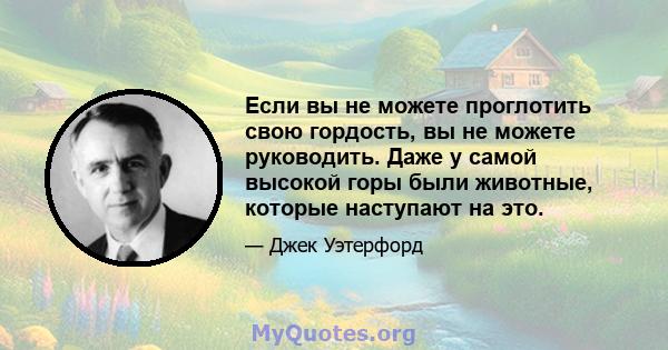 Если вы не можете проглотить свою гордость, вы не можете руководить. Даже у самой высокой горы были животные, которые наступают на это.