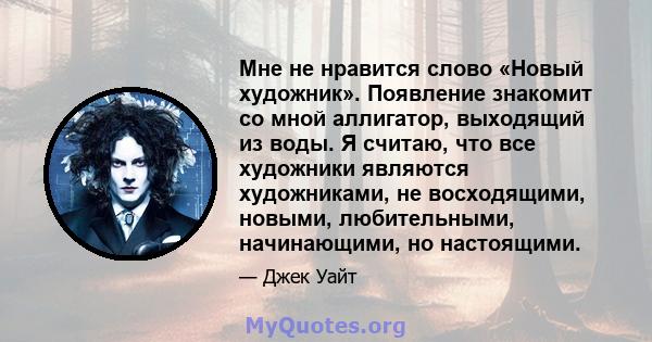 Мне не нравится слово «Новый художник». Появление знакомит со мной аллигатор, выходящий из воды. Я считаю, что все художники являются художниками, не восходящими, новыми, любительными, начинающими, но настоящими.