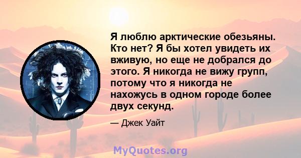 Я люблю арктические обезьяны. Кто нет? Я бы хотел увидеть их вживую, но еще не добрался до этого. Я никогда не вижу групп, потому что я никогда не нахожусь в одном городе более двух секунд.