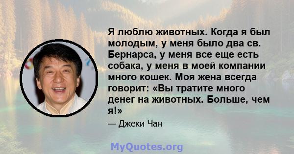 Я люблю животных. Когда я был молодым, у меня было два св. Бернарса, у меня все еще есть собака, у меня в моей компании много кошек. Моя жена всегда говорит: «Вы тратите много денег на животных. Больше, чем я!»