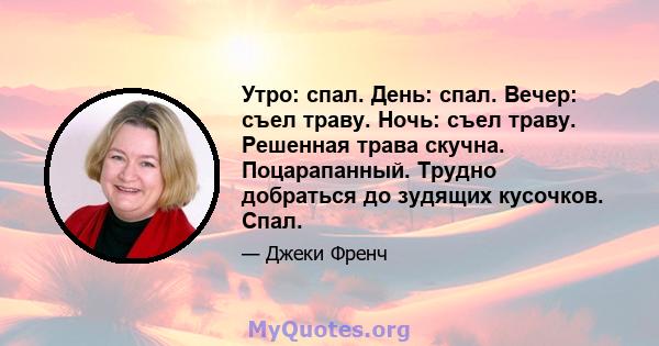 Утро: спал. День: спал. Вечер: съел траву. Ночь: съел траву. Решенная трава скучна. Поцарапанный. Трудно добраться до зудящих кусочков. Спал.