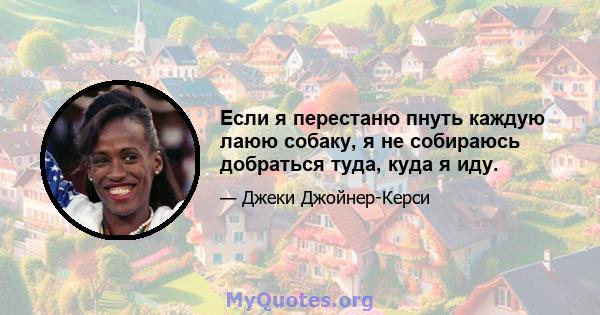 Если я перестаню пнуть каждую лаюю собаку, я не собираюсь добраться туда, куда я иду.