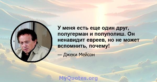 У меня есть еще один друг, полугерман и полуполиш. Он ненавидит евреев, но не может вспомнить, почему!