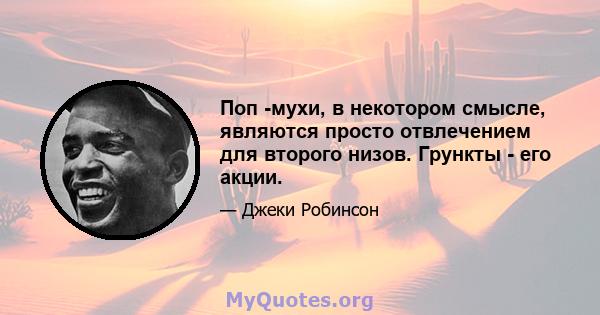 Поп -мухи, в некотором смысле, являются просто отвлечением для второго низов. Грункты - его акции.