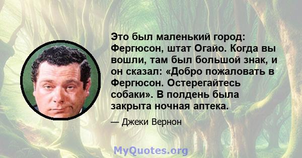 Это был маленький город: Фергюсон, штат Огайо. Когда вы вошли, там был большой знак, и он сказал: «Добро пожаловать в Фергюсон. Остерегайтесь собаки». В полдень была закрыта ночная аптека.