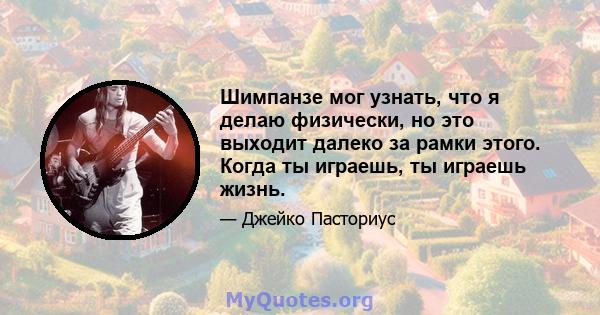 Шимпанзе мог узнать, что я делаю физически, но это выходит далеко за рамки этого. Когда ты играешь, ты играешь жизнь.