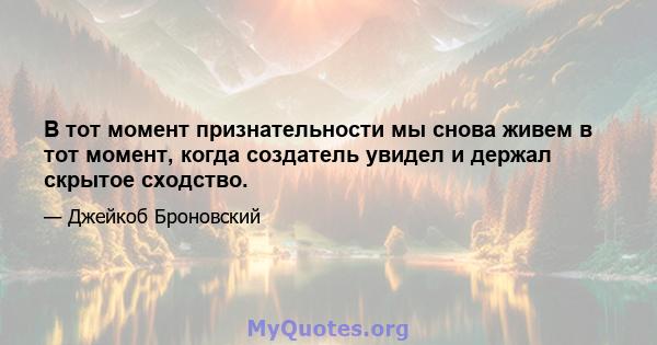 В тот момент признательности мы снова живем в тот момент, когда создатель увидел и держал скрытое сходство.