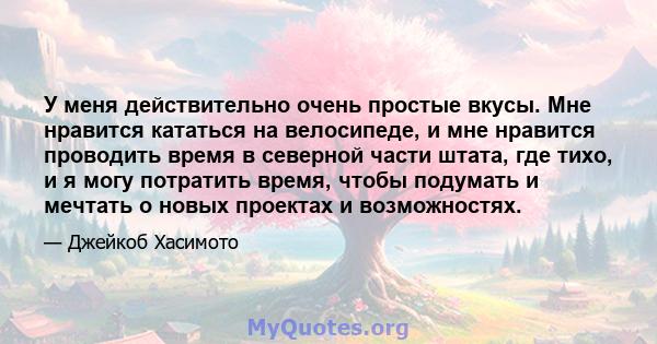 У меня действительно очень простые вкусы. Мне нравится кататься на велосипеде, и мне нравится проводить время в северной части штата, где тихо, и я могу потратить время, чтобы подумать и мечтать о новых проектах и